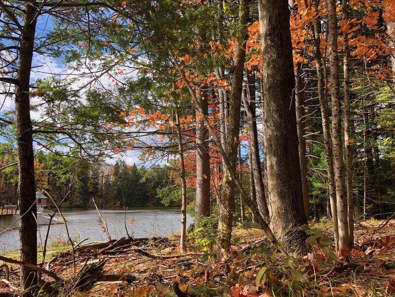 North Collins wildlife management area announced Local News
