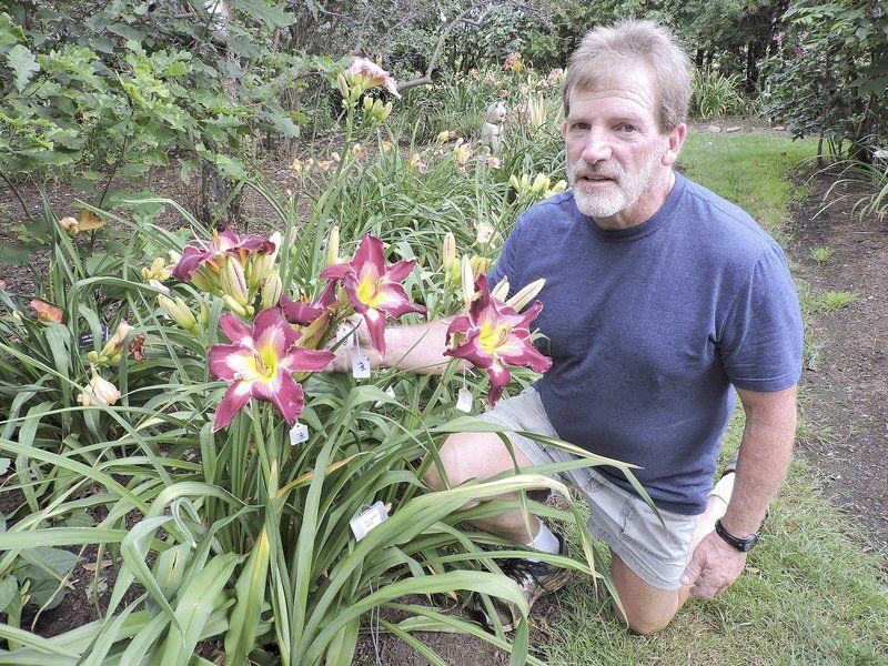 Beautiful Days At Cottage Gardens Lifestyles Lockportjournal Com