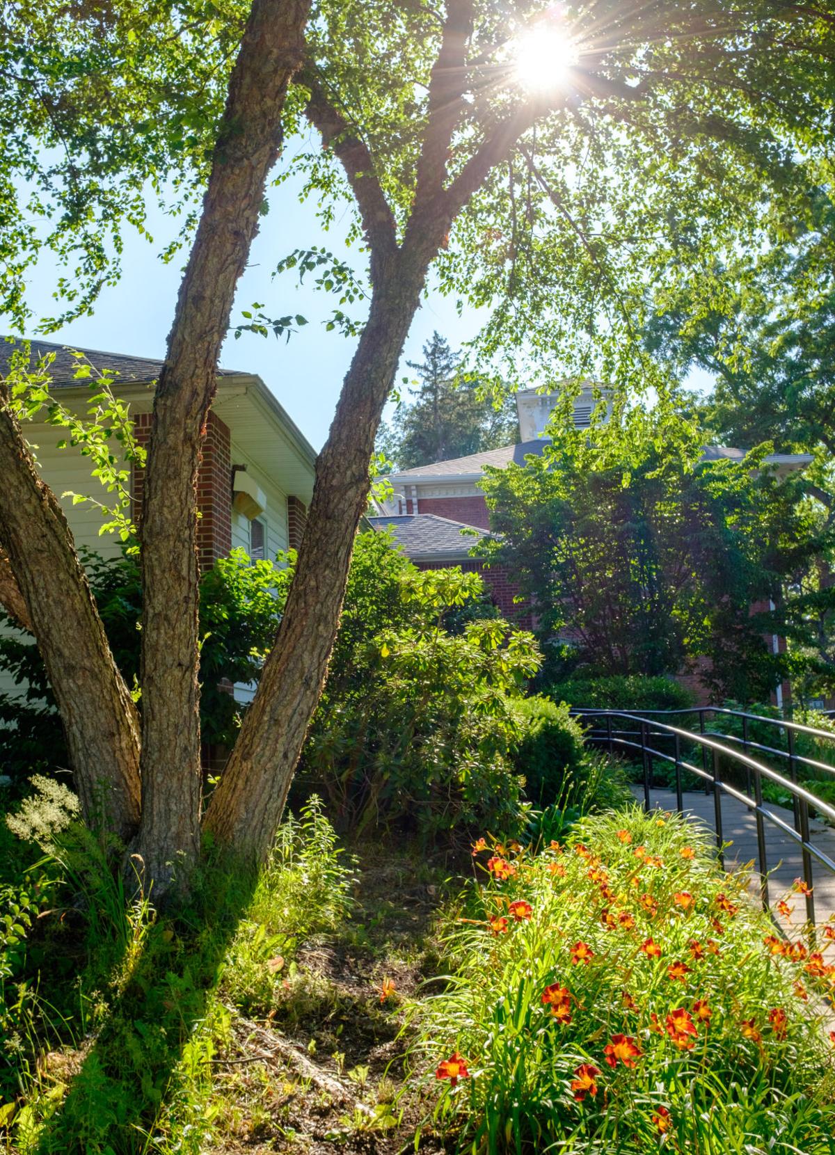 Lockport Celebrates | Gallery | lockportjournal.com