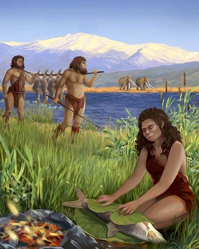 Cooking-Feasts-Evolution