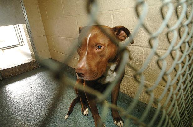 Lockport Making Sense Of A Shocking Attack Local News