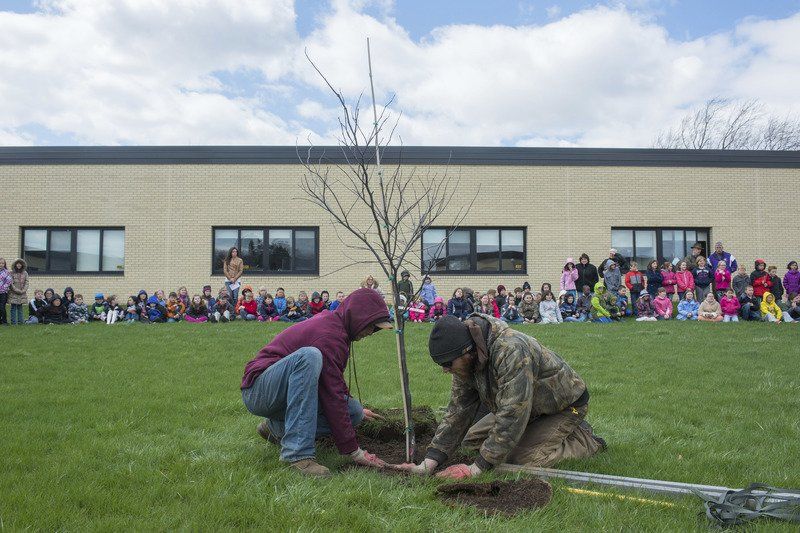 Roy-Hart Elementary recognizes Arbor Day | Local News | lockportjournal.com