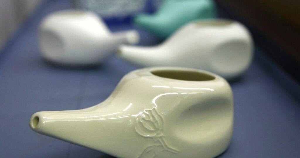 Another dangerous amoeba has been linked to neti pots and nasal rinsing. Here's what to know - Vimarsana News