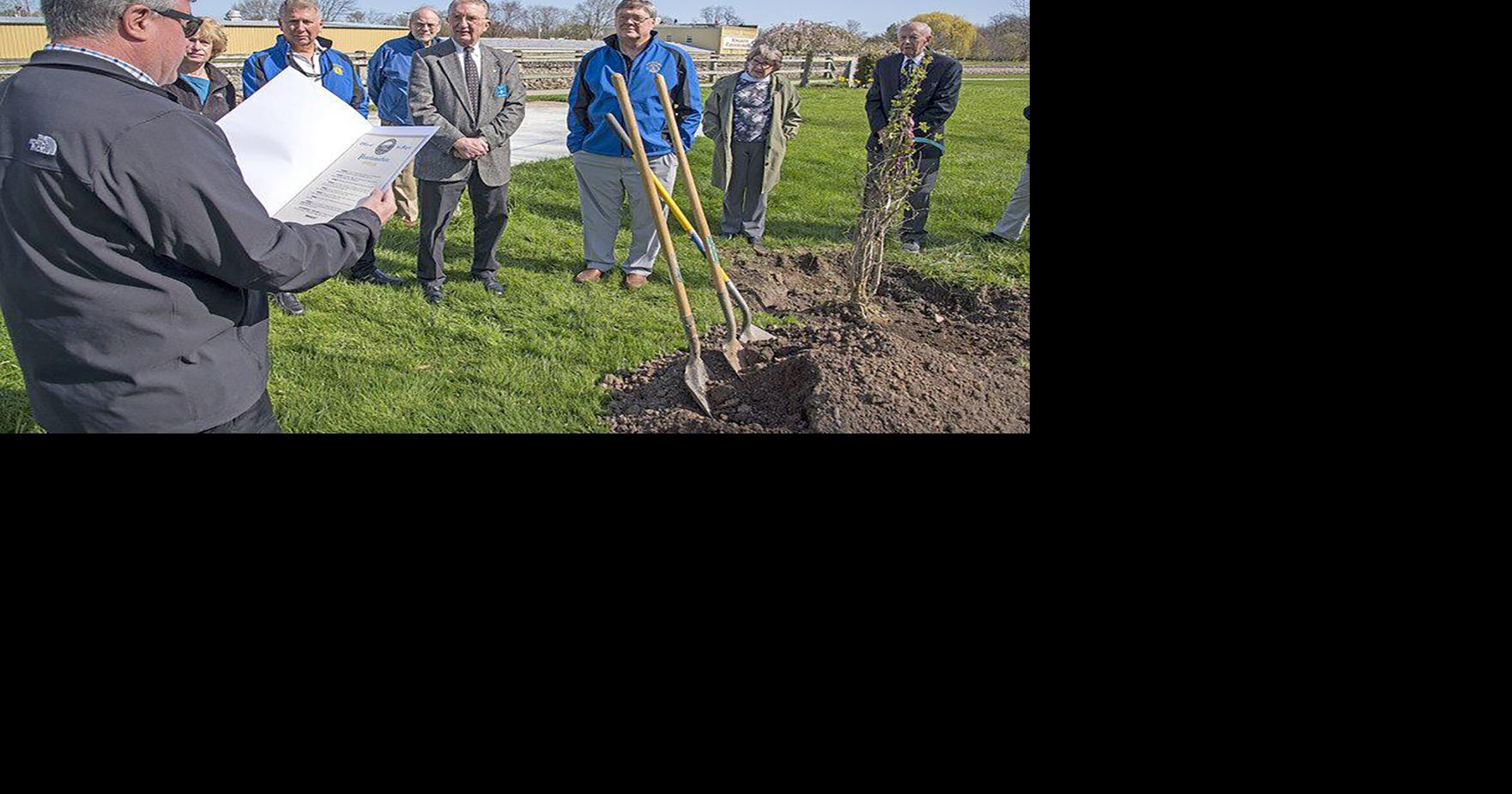 Lockport A Tree City in deed Local News