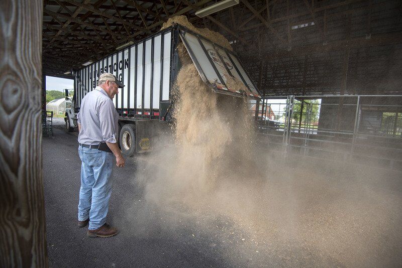 Niagara County Fair ready to return
