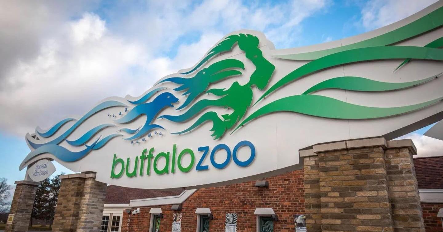 Buffalo Zoo raising ticket prices, offering low-income discount - Vimarsana News