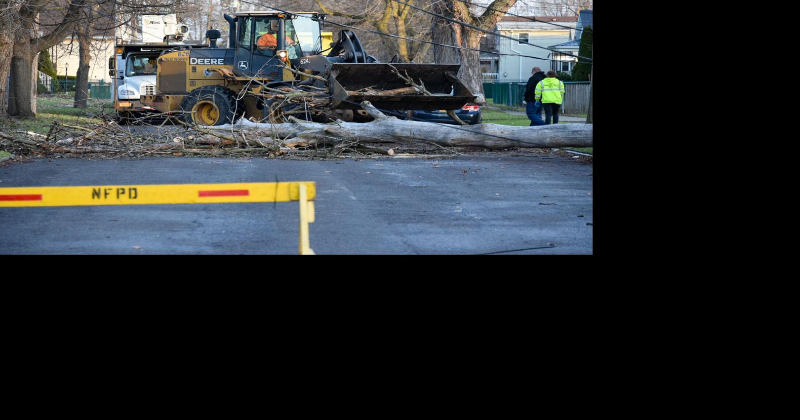 Strong winds knock out power, knock down trees | Local News ...