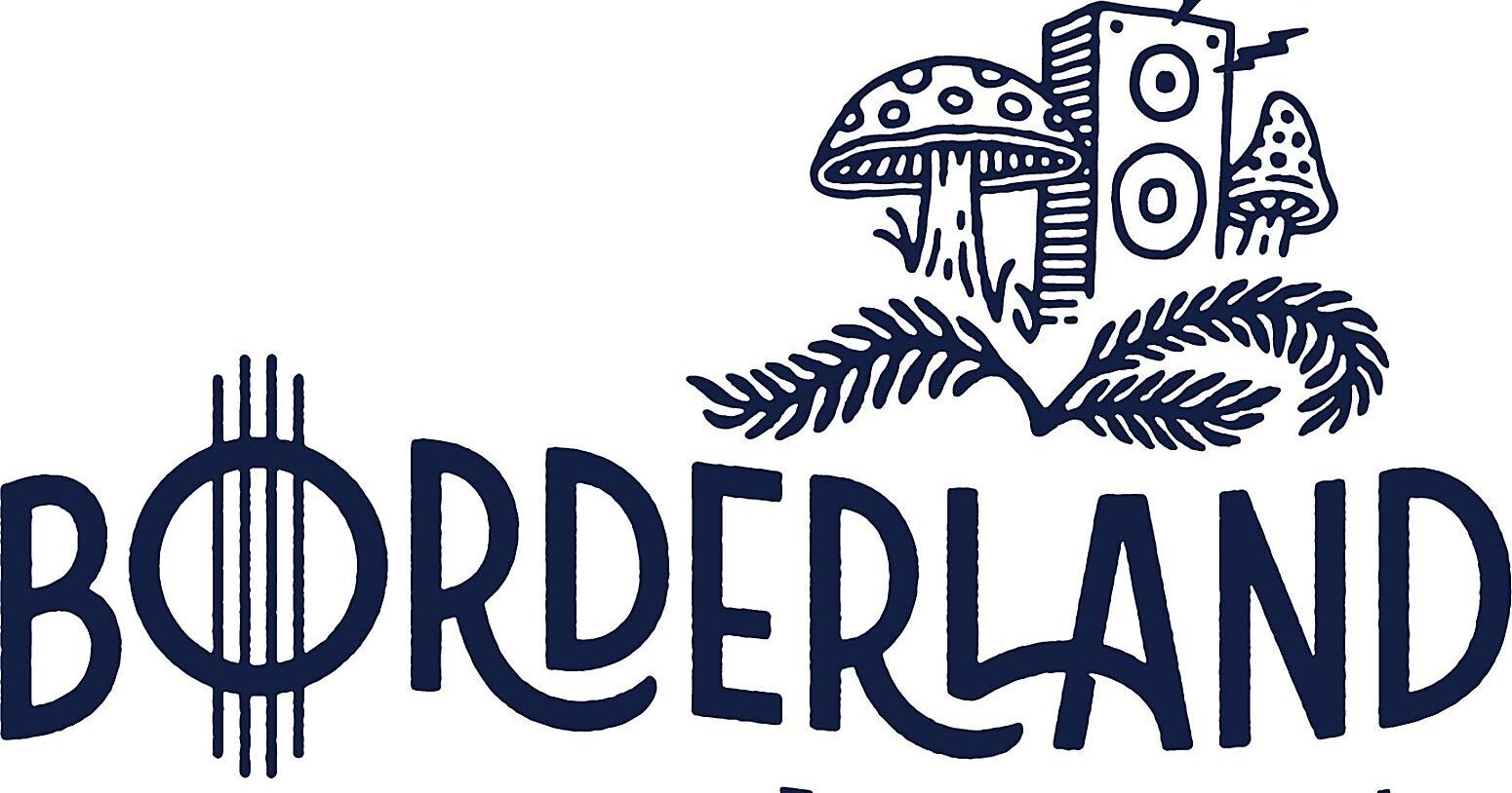 MUSIC SCENE: For good music and eco-consciousness, visit the Borderland - Vimarsana News