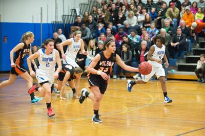 Local Schools Still Alive In Vi Hoops Playoffs Sports Lockportjournal Com