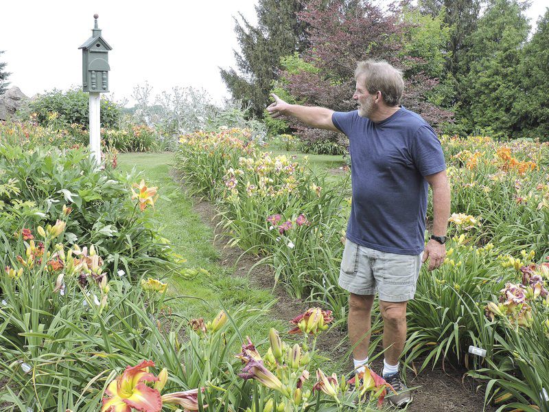 Beautiful Days At Cottage Gardens Lifestyles Lockportjournal Com