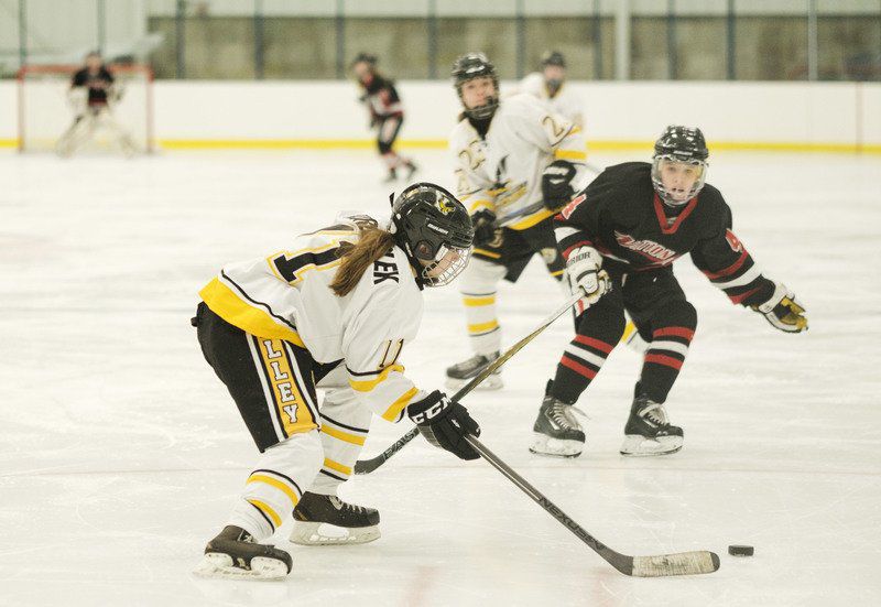 A win-win for Lockport and Cornerstone Arena | Local News