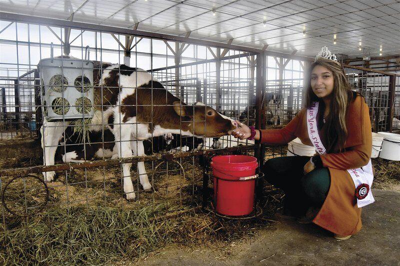 Dairy princess pioneer charts unique course Lifestyles