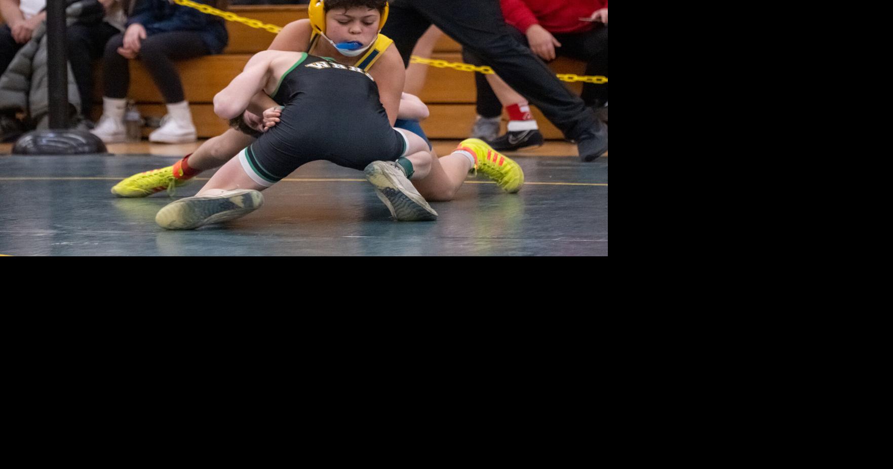 Division I wrestling state qualifiers moved to North Tonawanda with