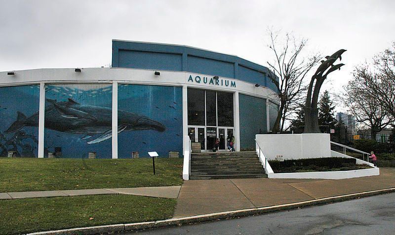 Niagara fashion aquarium