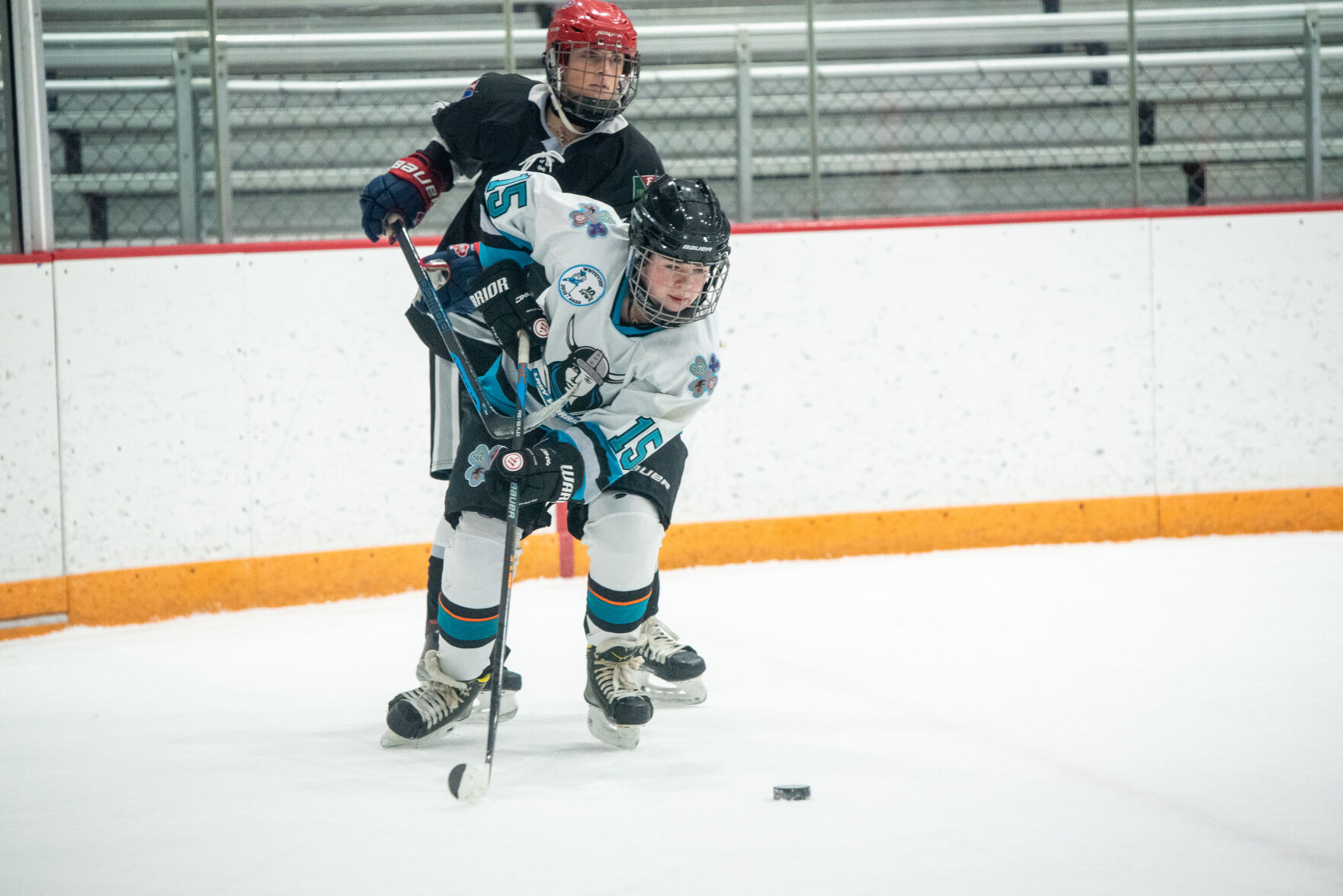 Niagara County Dominates Western New York Girls Hockey Federation with Offensive Firepower