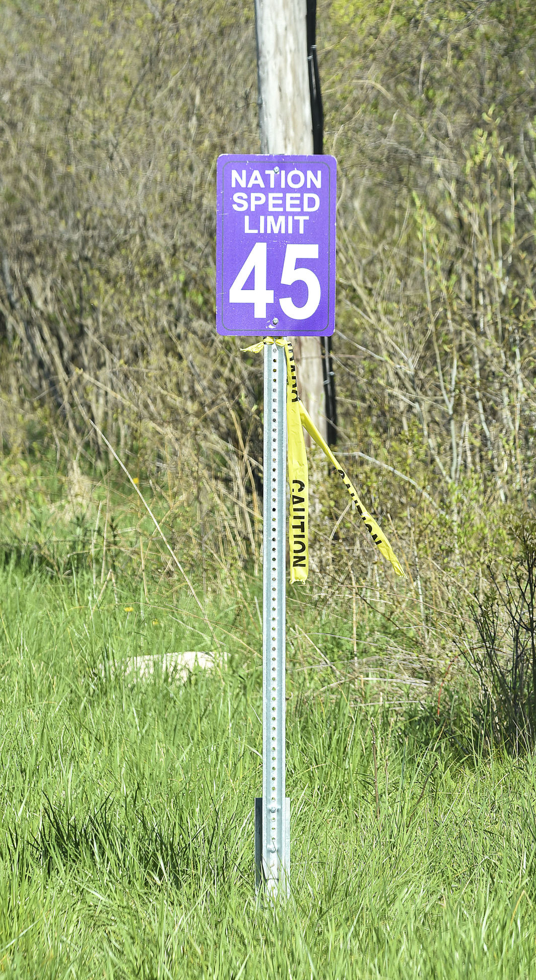 NIATuscarorasignsart2052620.jpg