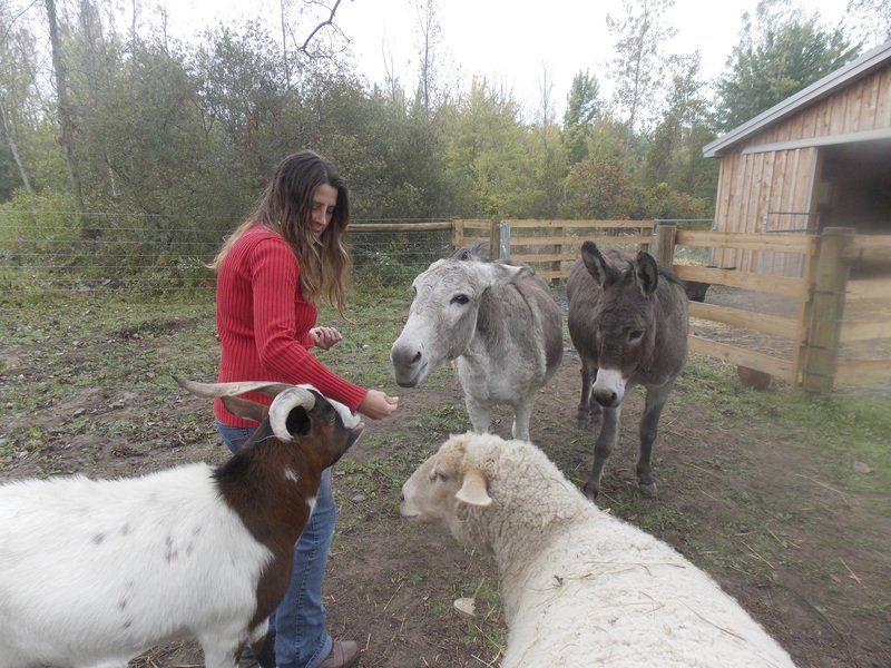 Asha Sanctuary Adding Information Center Local News Lockportjournal Com