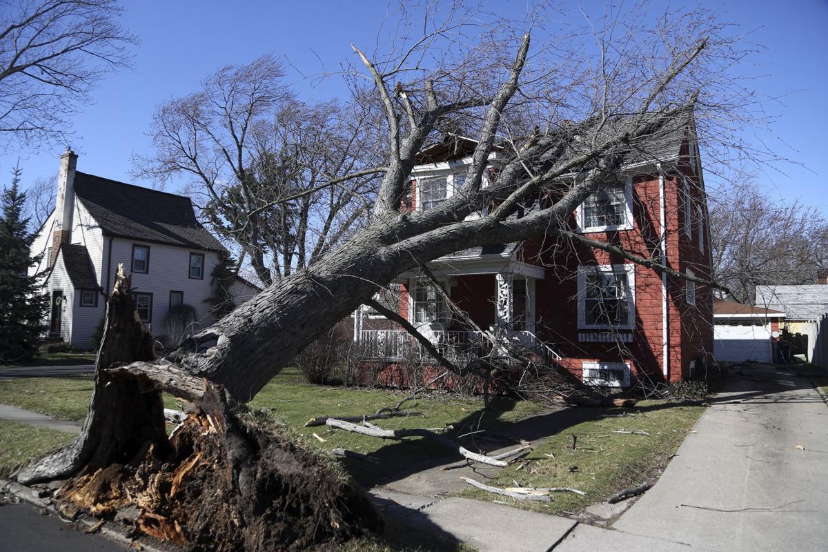 LPT 170308 Contributed Wind-001.jpg