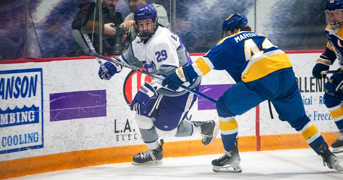 Jim Roloson Sons of former Sabres goalie Dwayne Roloson thriving for Niagara ...