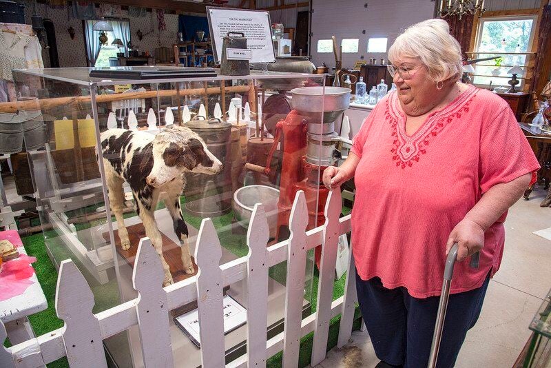 SanbornLewiston Farm Museum is back in business Local News