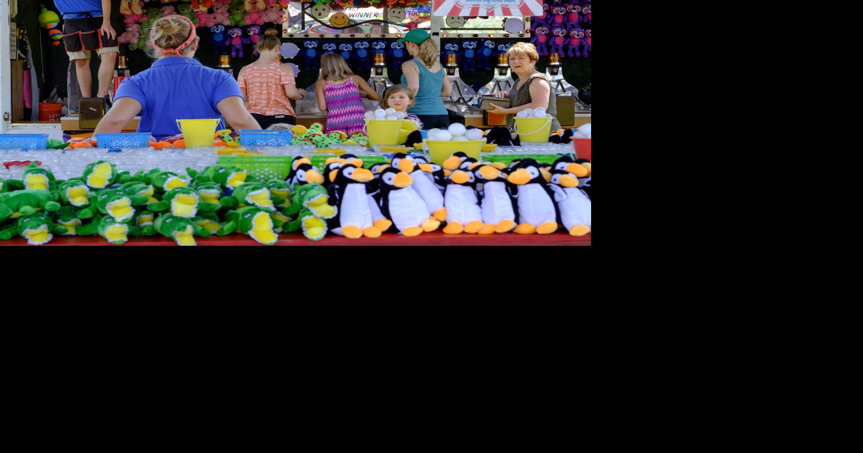 Niagara County Fair begins Gallery