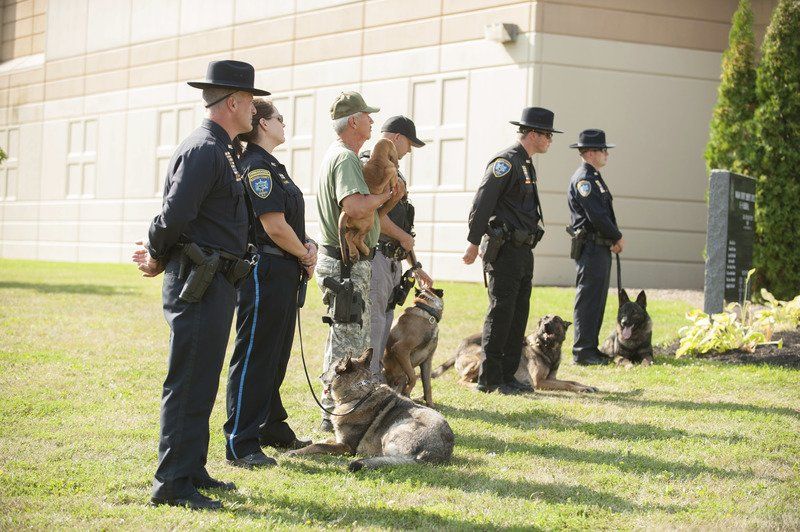 Niagara County Sheriff's Office unveils memorial to its K-9s | Local ...