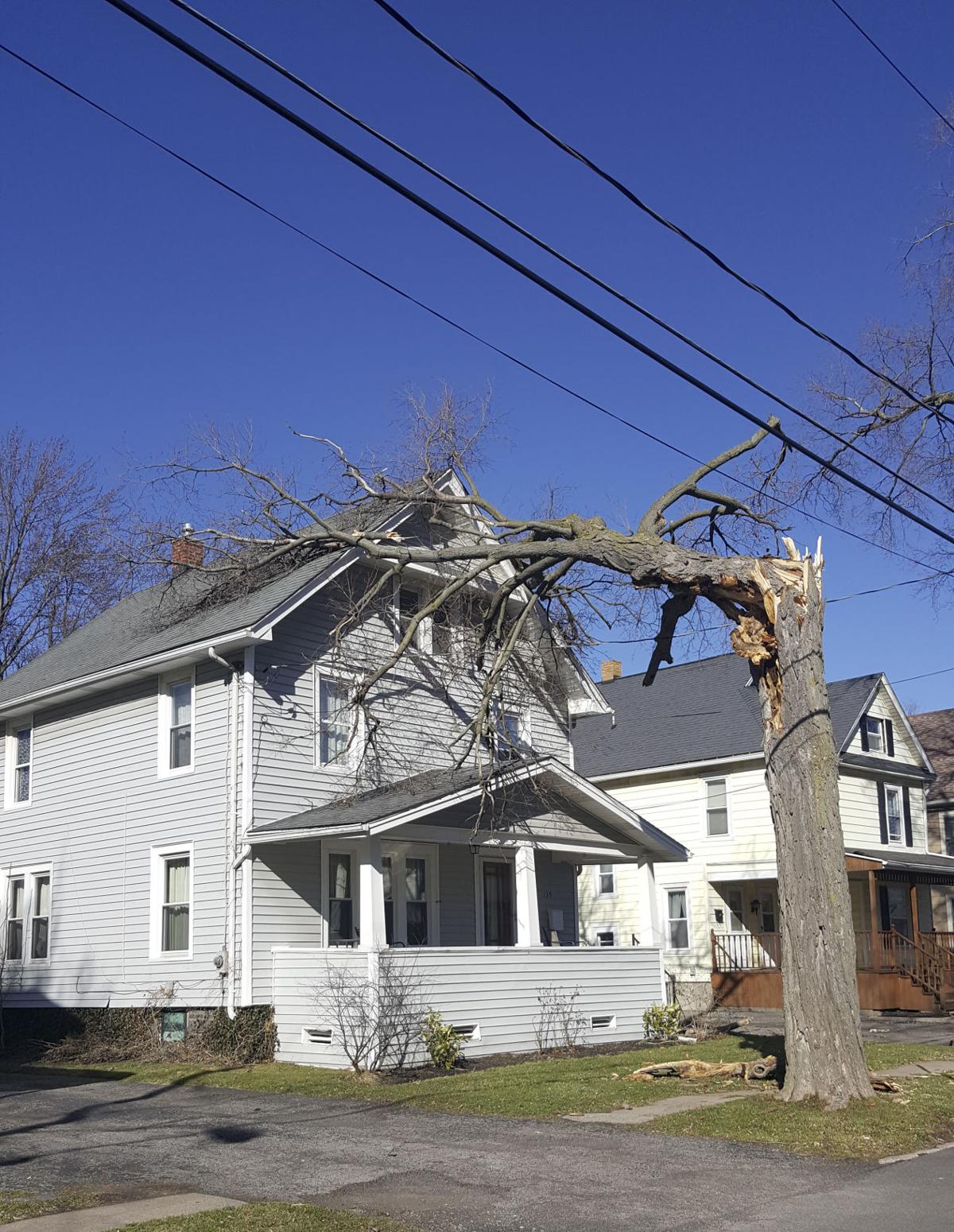 LPT 170308 Contributed Wind-005.jpg