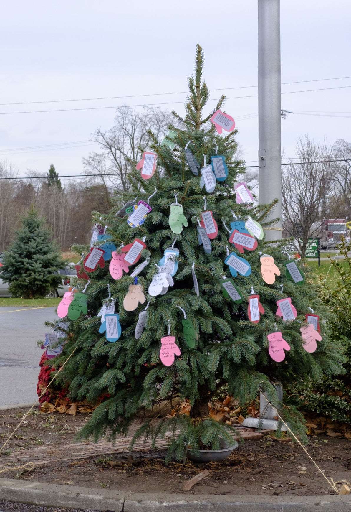 A Mitten Tree Is ‘planted’ In Gasport 