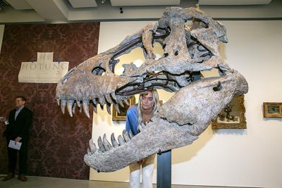 T rex skull unearthed in South Dakota to be auctioned in NY ...