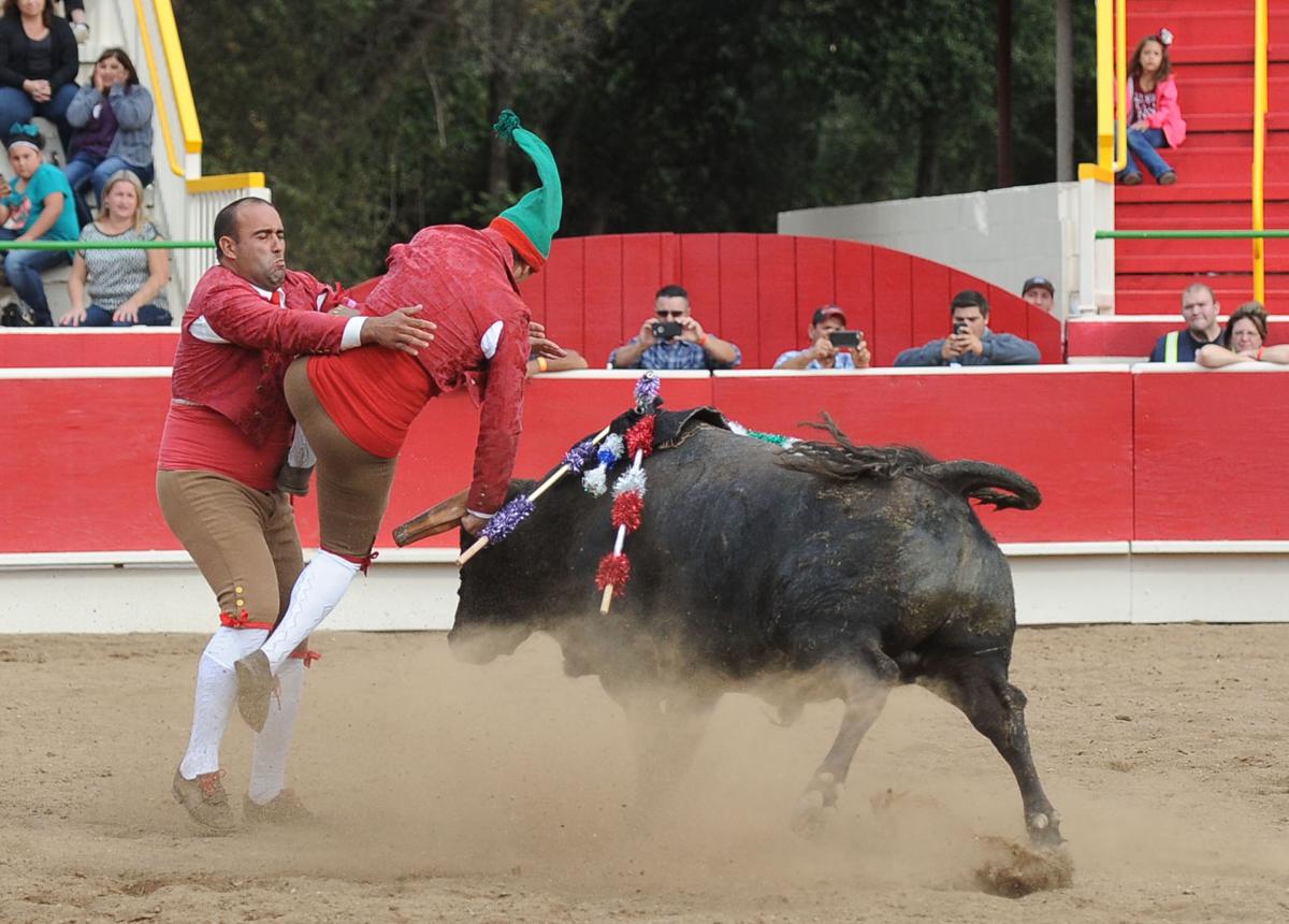 10_15_16_BULLFIGHT_28.JPG
