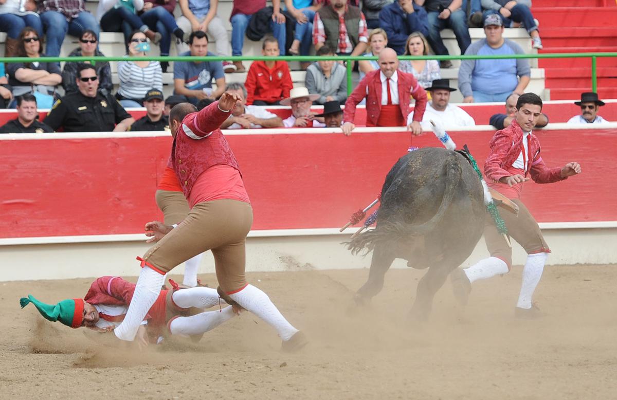 10_15_16_BULLFIGHT_29.JPG