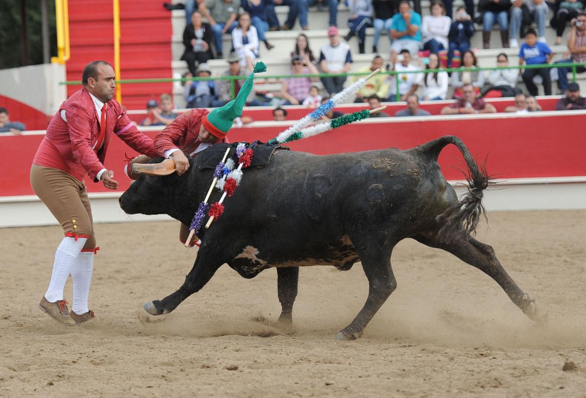 10_15_16_BULLFIGHT_30.JPG