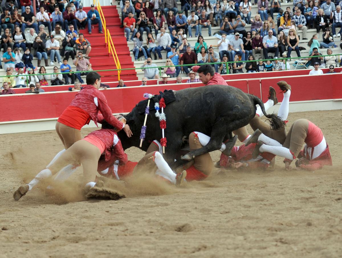 10_15_16_BULLFIGHT_33.JPG