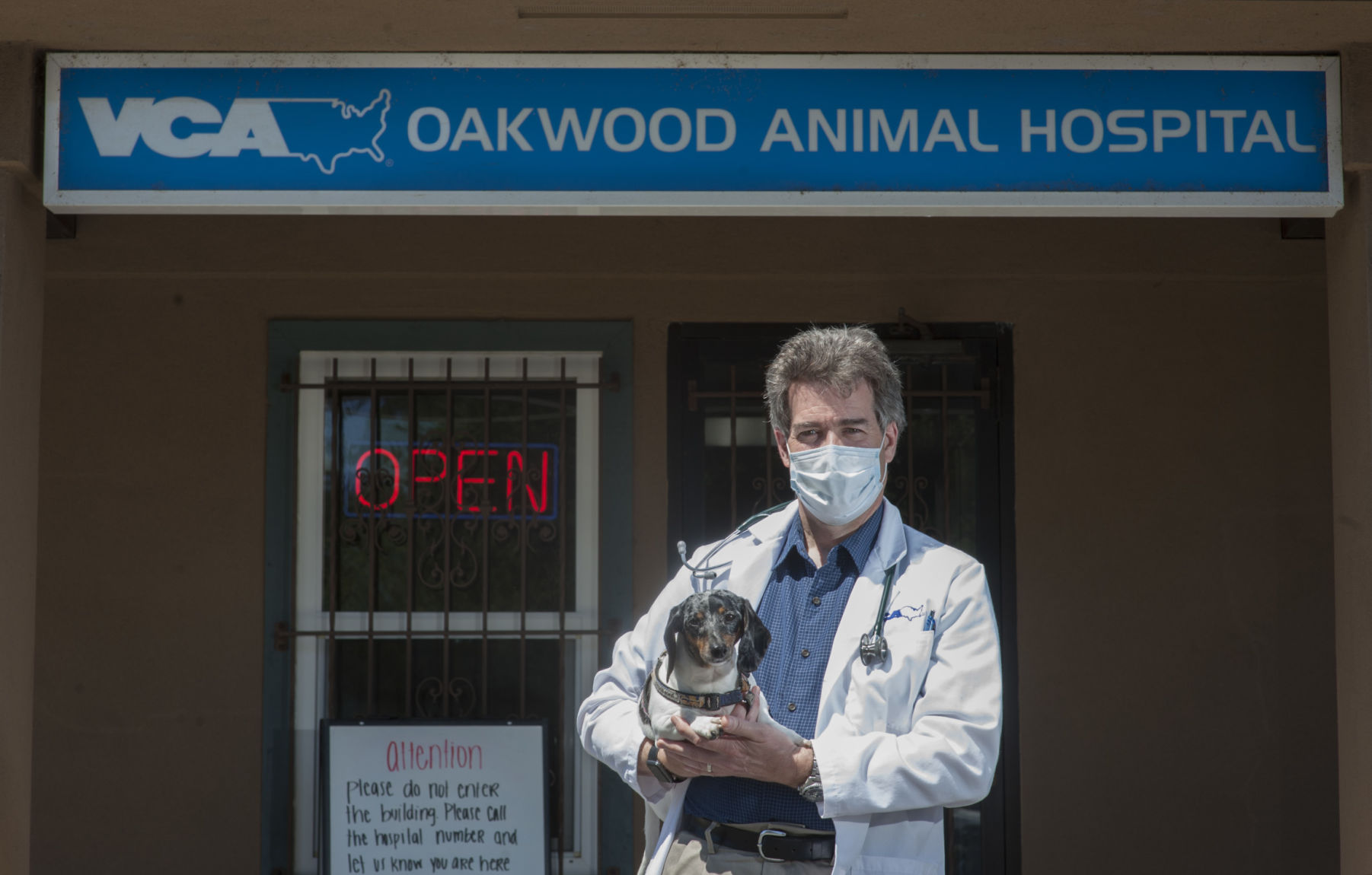 Vca oakwood sale animal hospital