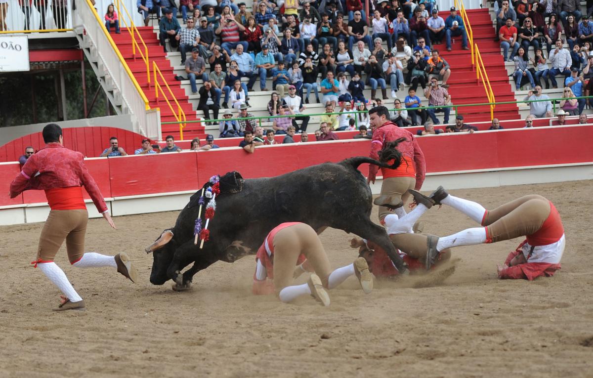 10_15_16_BULLFIGHT_34.JPG
