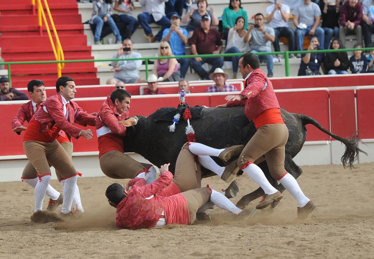 10_15_16_BULLFIGHT_35.JPG