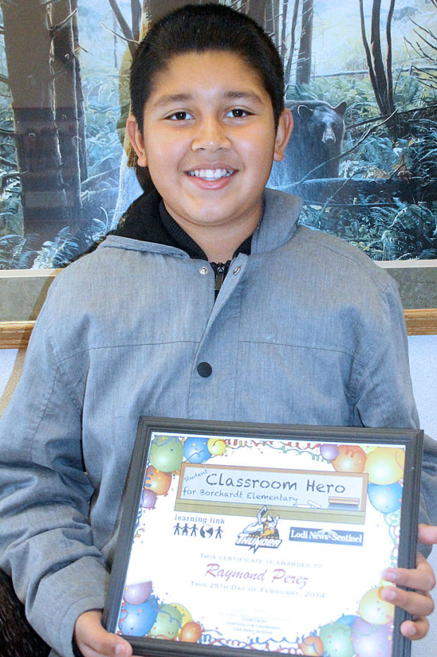 Borchardt Elementary School Classroom Heroes Learning Link