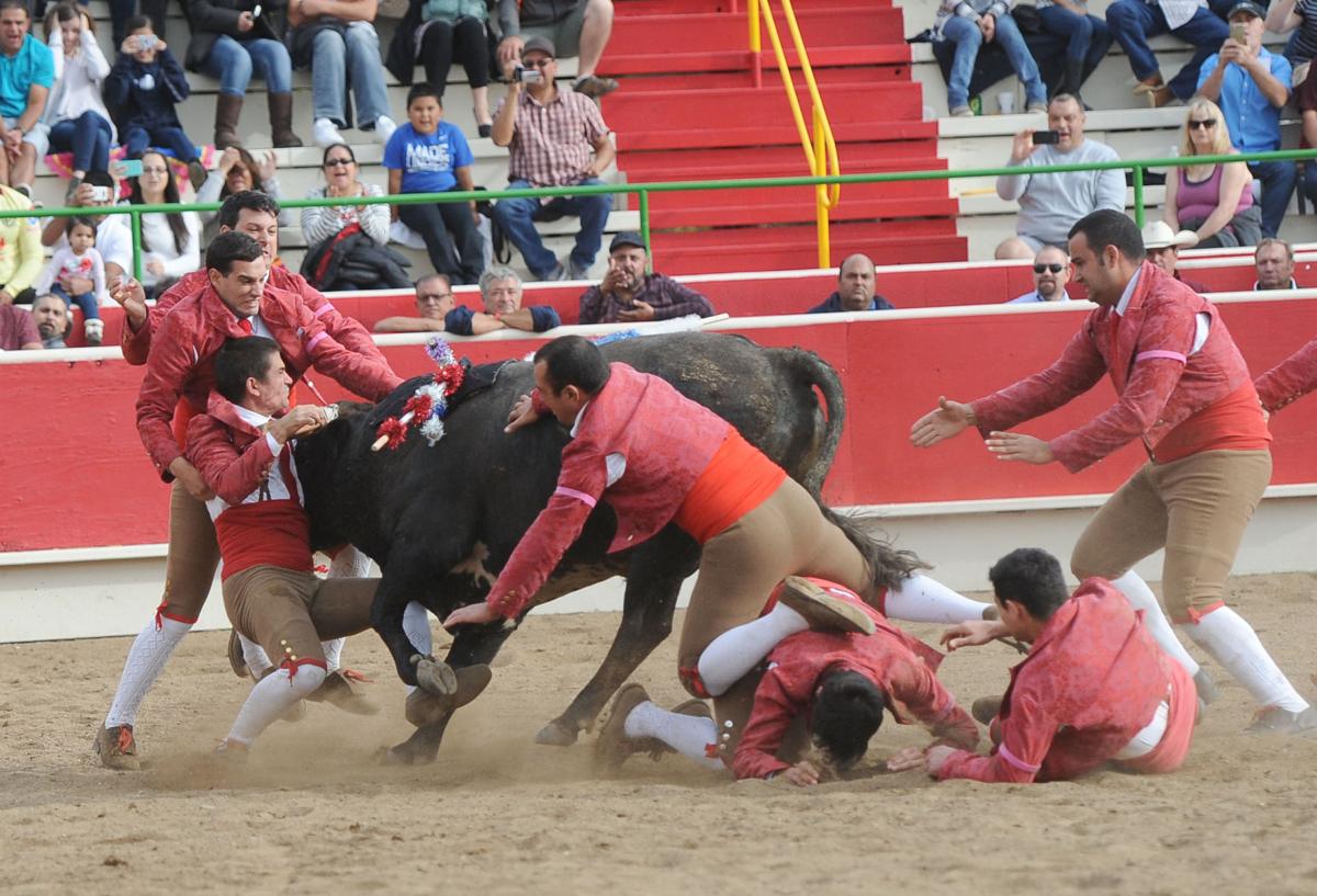 10_15_16_BULLFIGHT_36.JPG