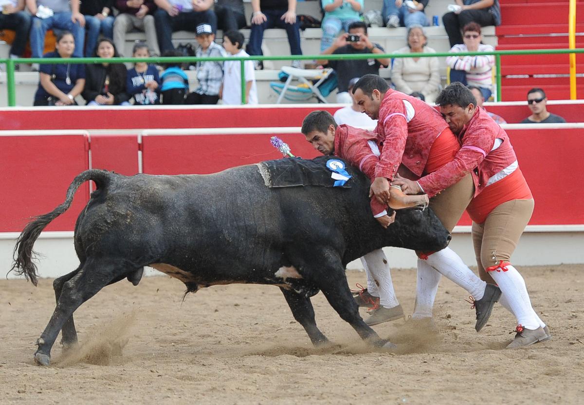 10_15_16_BULLFIGHT_37.JPG
