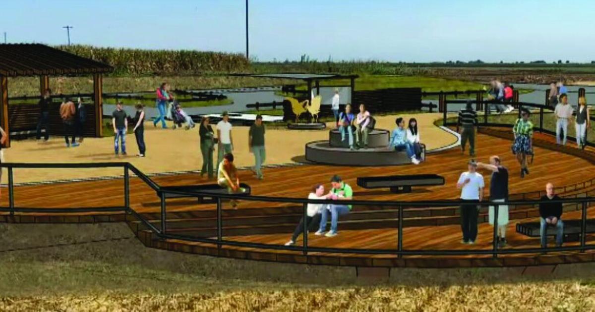Delta birders to get new viewing platform at Staten Island