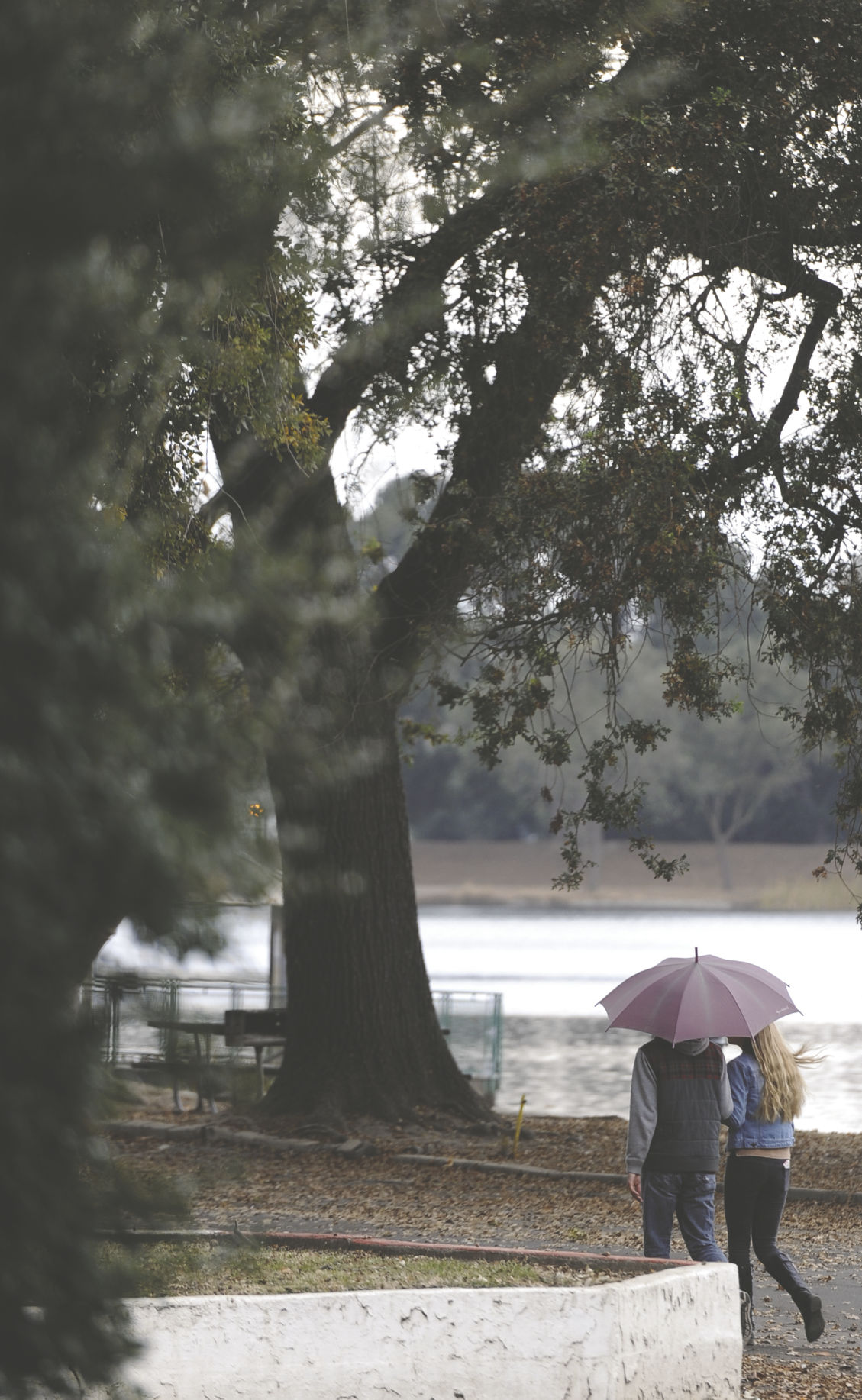Lodi’s wet weather not expected to last for long News