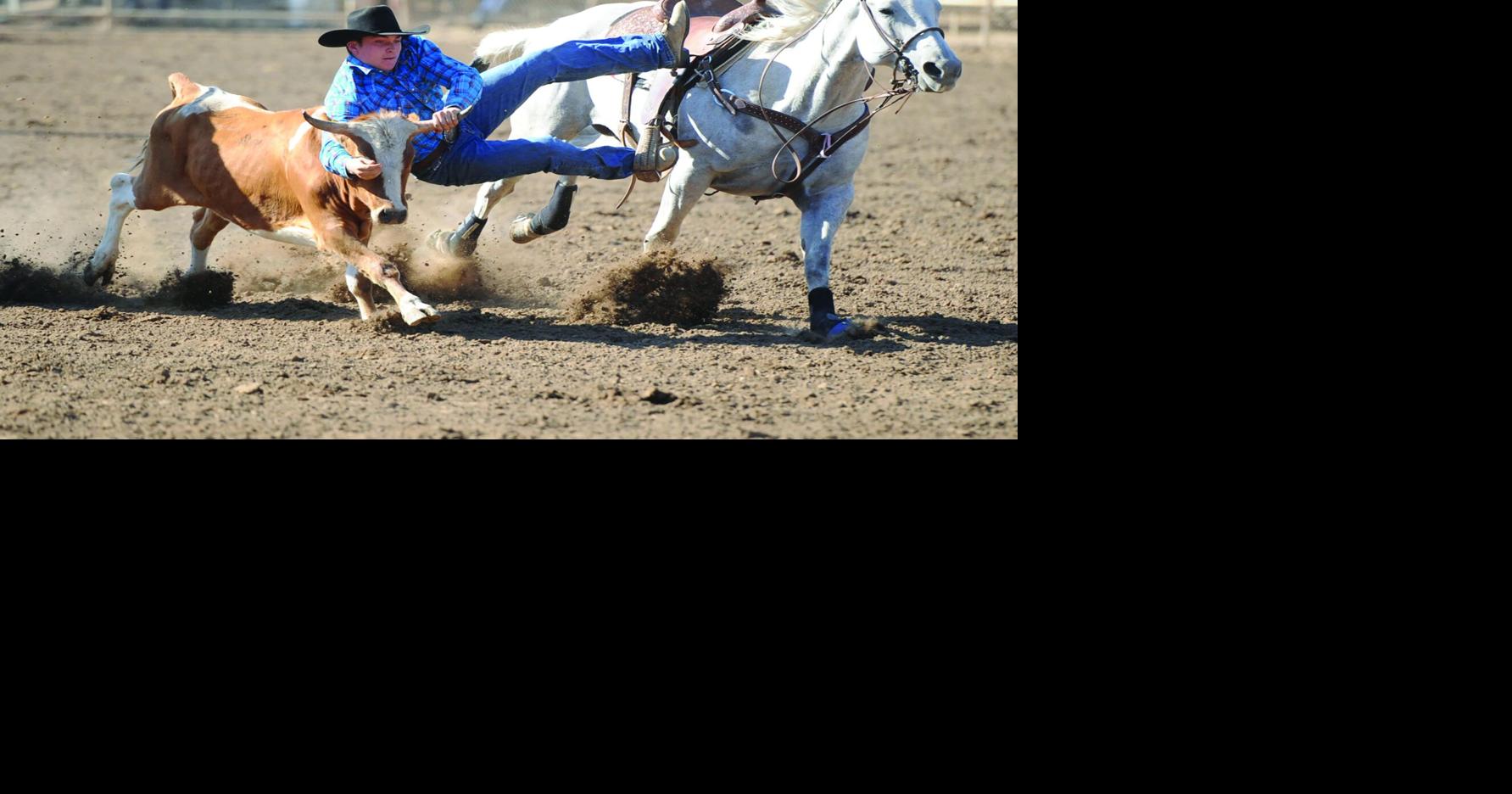 Charging back again: Clements Stampede returning for first time since ...