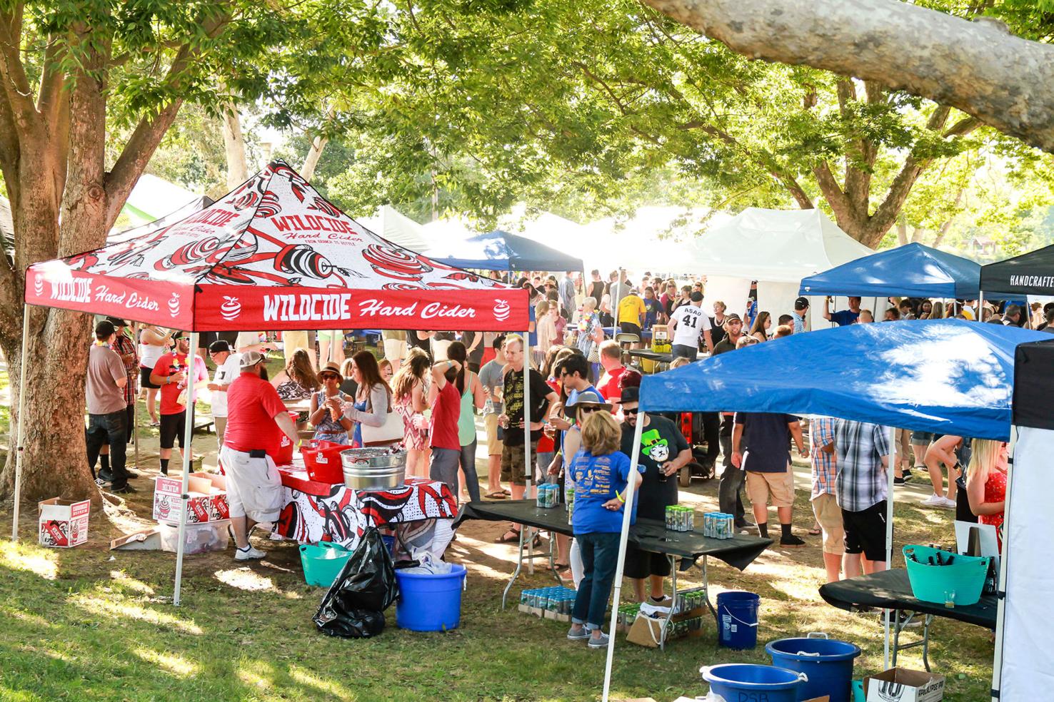 Lodi Craft Beer Festival brings splash of fun to Lodi Lake Arts and