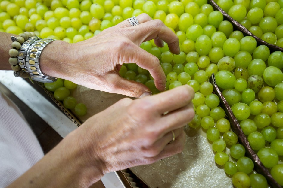 See grape murals go from concept to completion at the Lodi Grape