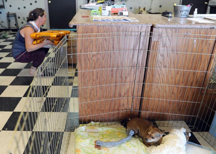 Lockeford community bands together for fire victims News