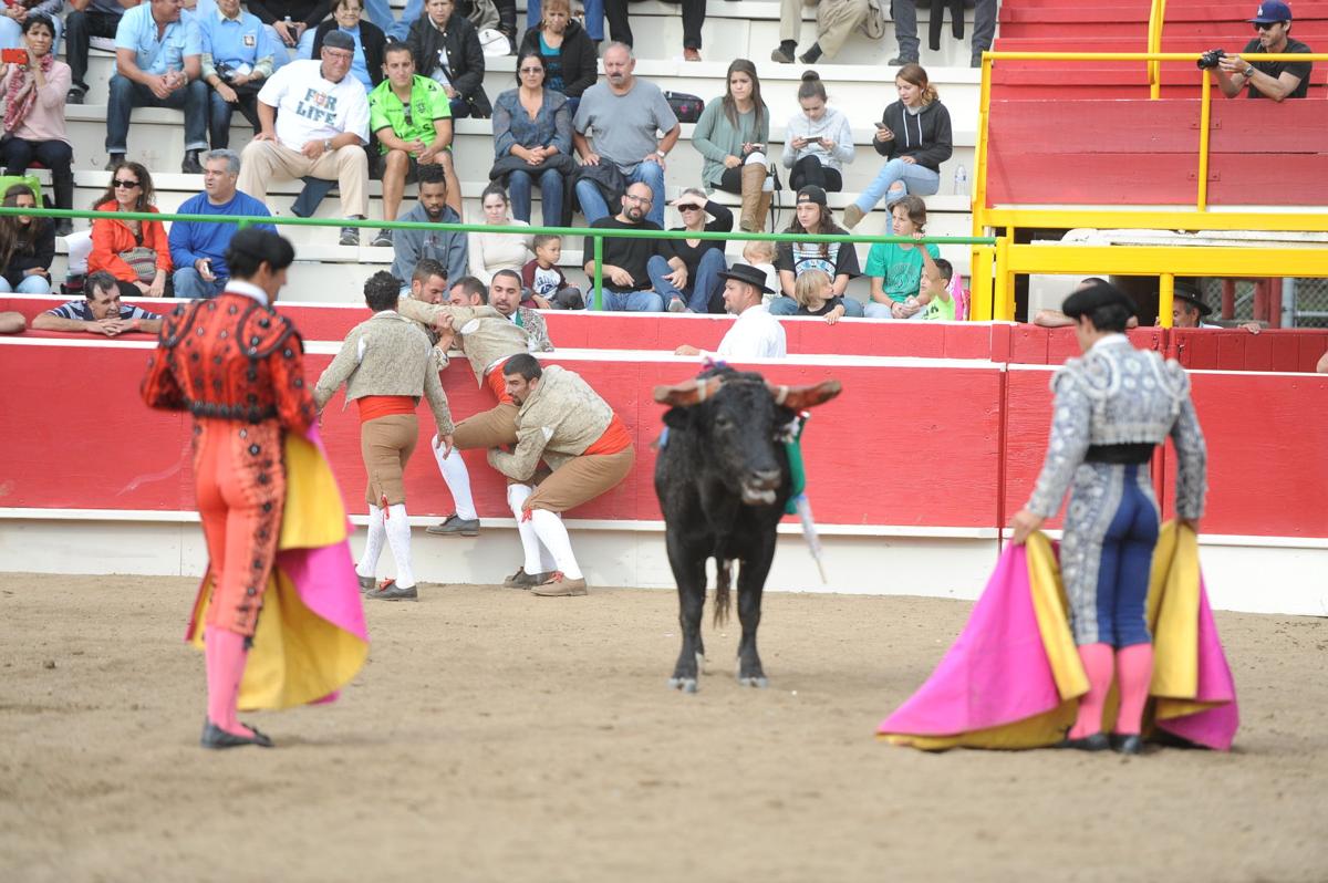 10_15_16_BULLFIGHT_46.JPG