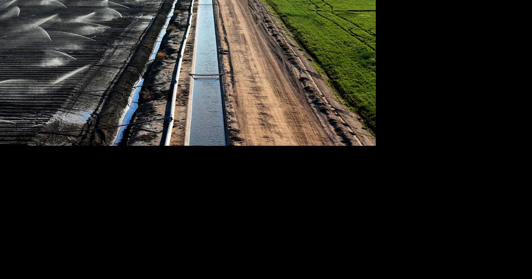 California dodges a bullet on Colorado River cuts