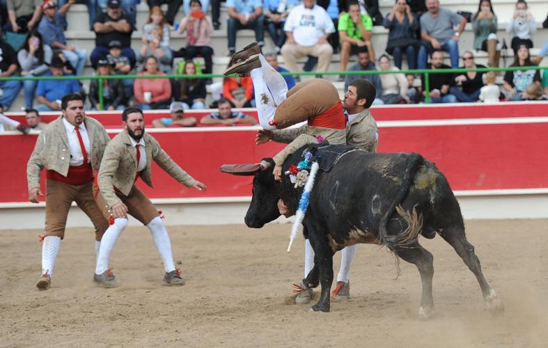 Bullfights return to Ada, Local News