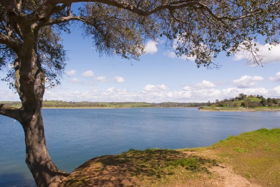 Greetings from Lake Camanche Discover