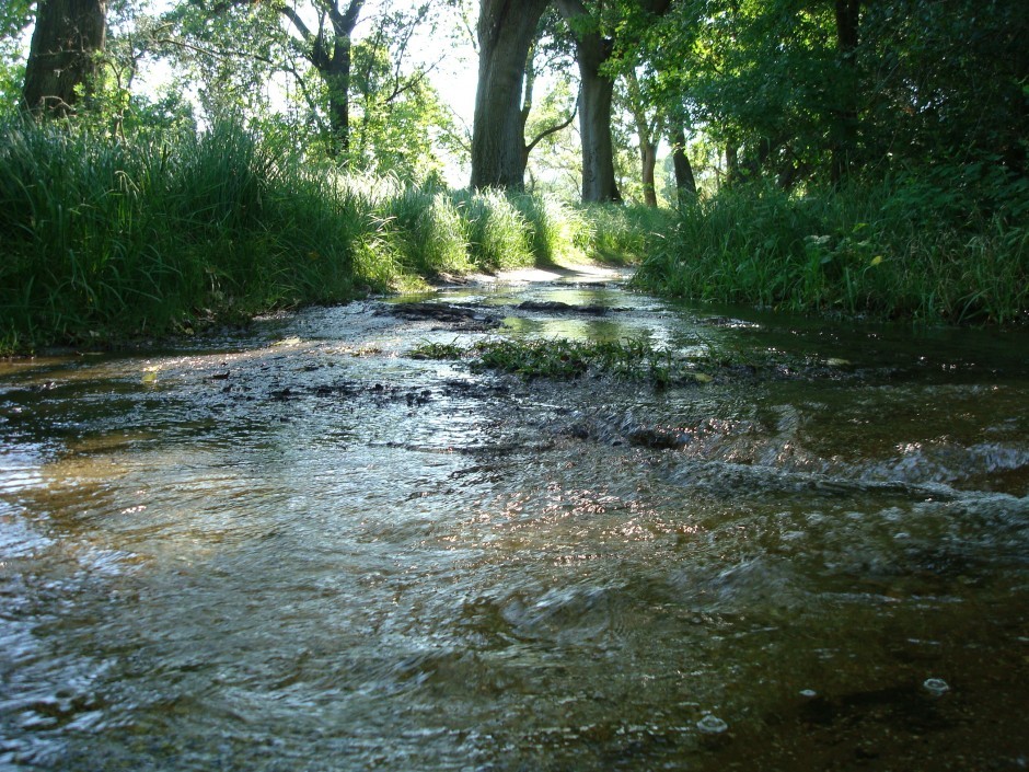Lodi Lake Nature Area closed due to flooding from Mokelumne River